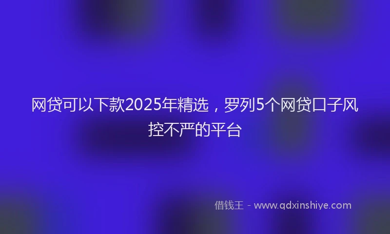 网贷可以下款2025年精选，罗列5个网贷口子风控不严的平台
