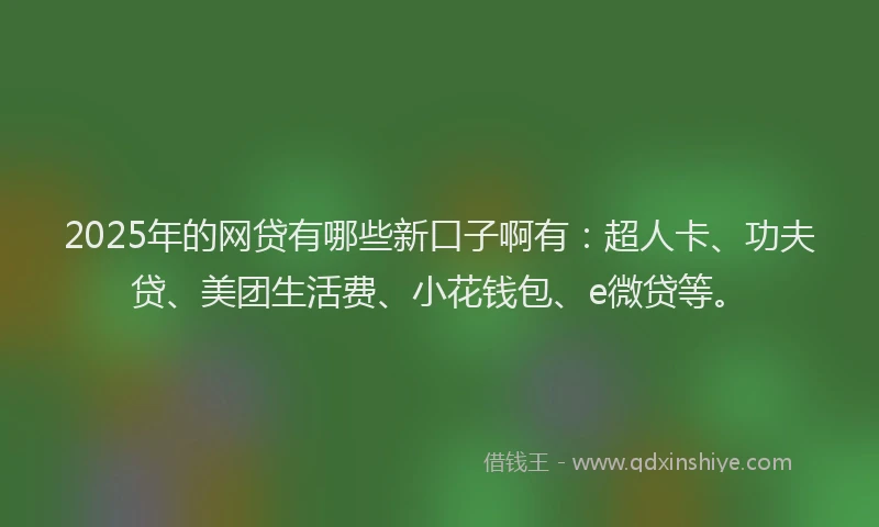 2025年的网贷有哪些新口子啊有：超人卡、功夫贷、美团生活费、小花钱包、e微贷等。