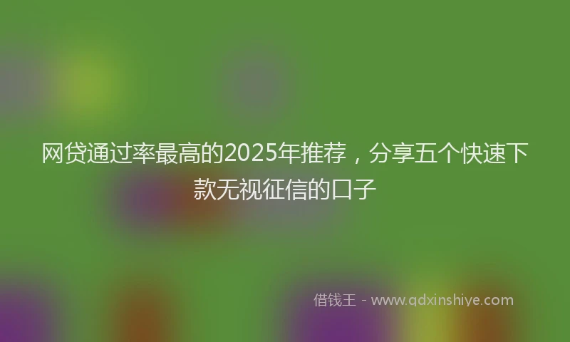 网贷通过率最高的2025年推荐，分享五个快速下款无视征信的口子