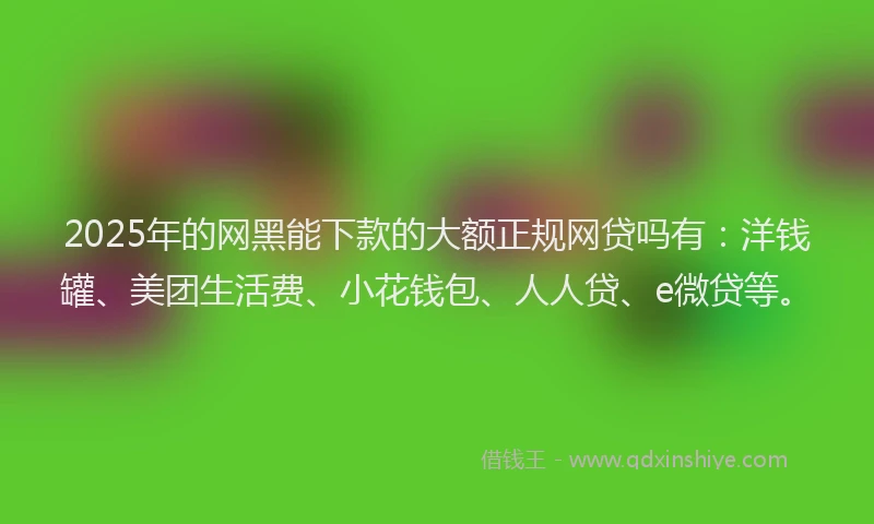 2025年的网黑能下款的大额正规网贷吗有：洋钱罐、美团生活费、小花钱包、人人贷、e微贷等。