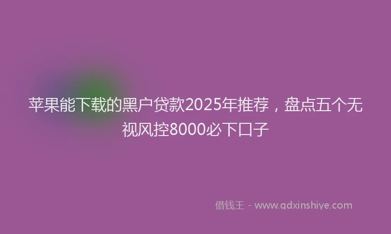 苹果能下载的黑户贷款2025年推荐，盘点五个无视风控8000必下口子