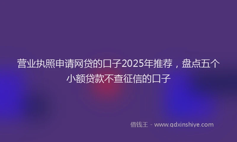营业执照申请网贷的口子2025年推荐，盘点五个小额贷款不查征信的口子