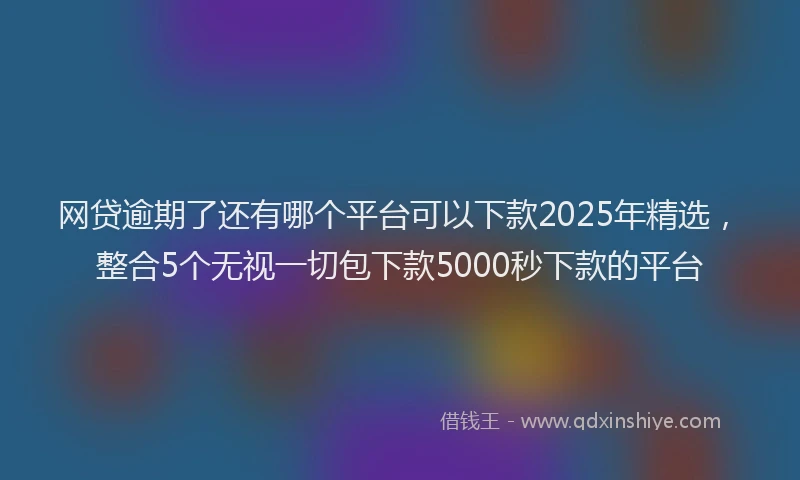 网贷逾期了还有哪个平台可以下款2025年精选，整合5个无视一切包下款5000秒下款的平台
