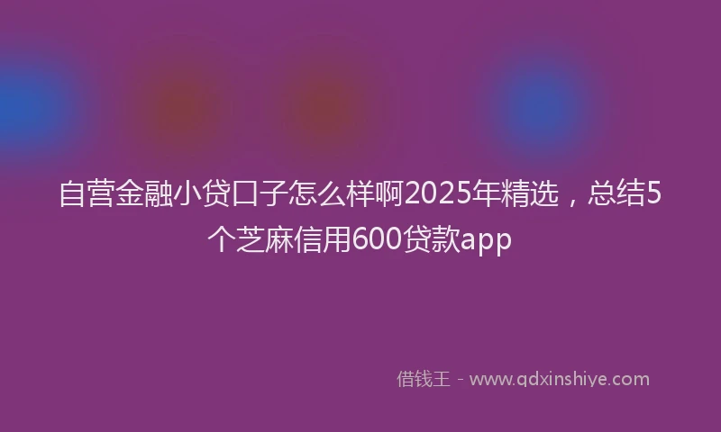 自营金融小贷口子怎么样啊2025年精选，总结5个芝麻信用600贷款app
