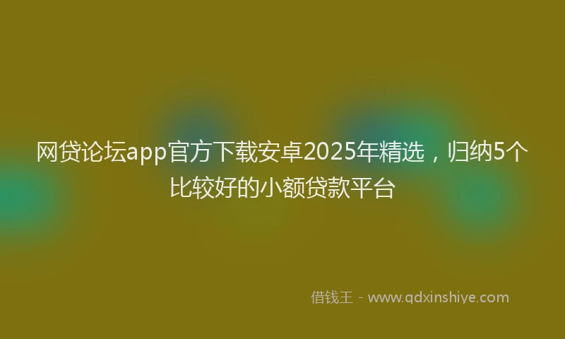 网贷论坛app官方下载安卓2025年精选，归纳5个比较好的小额贷款平台