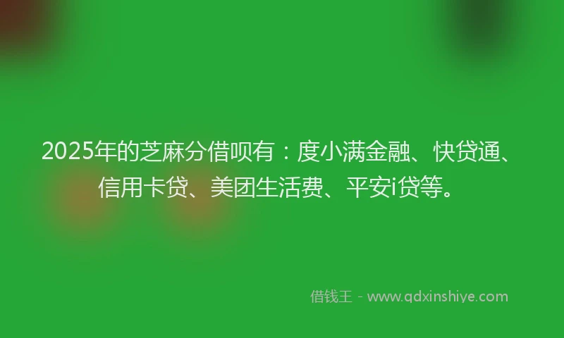 2025年的芝麻分借呗有：度小满金融、快贷通、信用卡贷、美团生活费、平安i贷等。