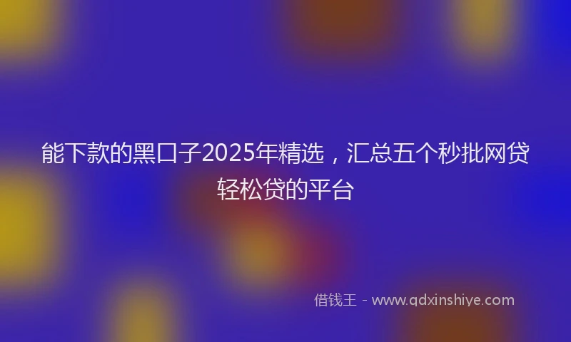 能下款的黑口子2025年精选，汇总五个秒批网贷轻松贷的平台