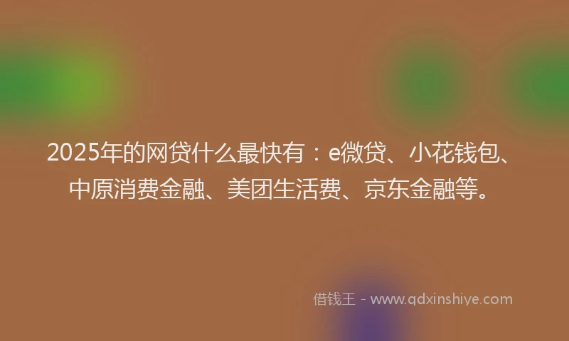 2025年的网贷什么最快有：e微贷、小花钱包、中原消费金融、美团生活费、京东金融等。