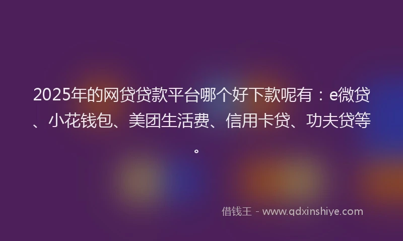 2025年的网贷贷款平台哪个好下款呢有：e微贷、小花钱包、美团生活费、信用卡贷、功夫贷等。