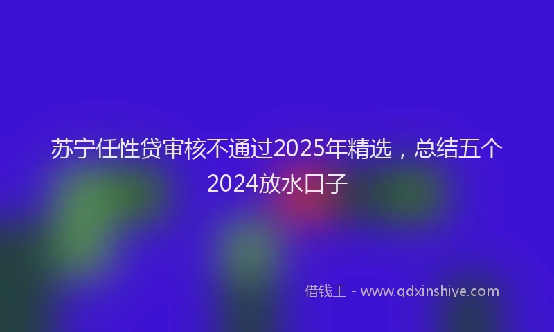 苏宁任性贷审核不通过2025年精选，总结五个2024放水口子
