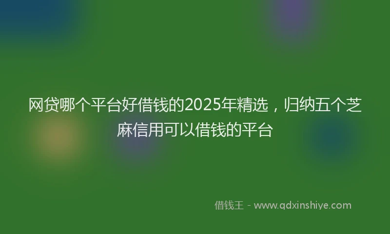 网贷哪个平台好借钱的2025年精选，归纳五个芝麻信用可以借钱的平台