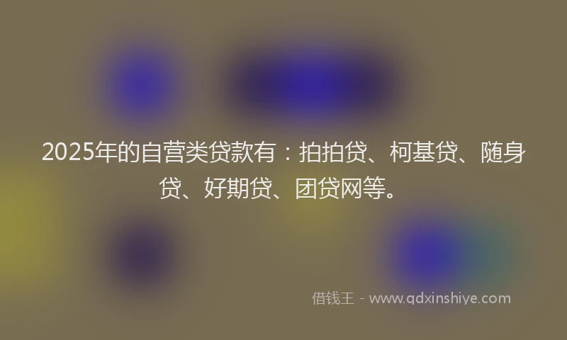2025年的自营类贷款有：拍拍贷、柯基贷、随身贷、好期贷、团贷网等。
