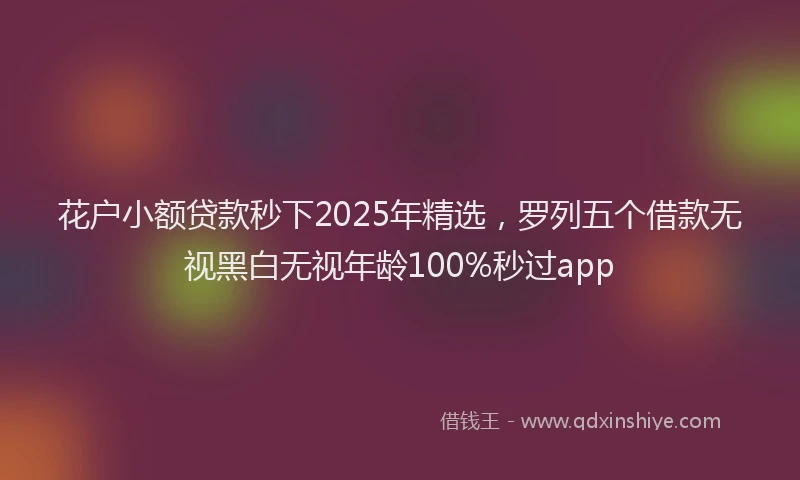 花户小额贷款秒下2025年精选，罗列五个借款无视黑白无视年龄100%秒过app