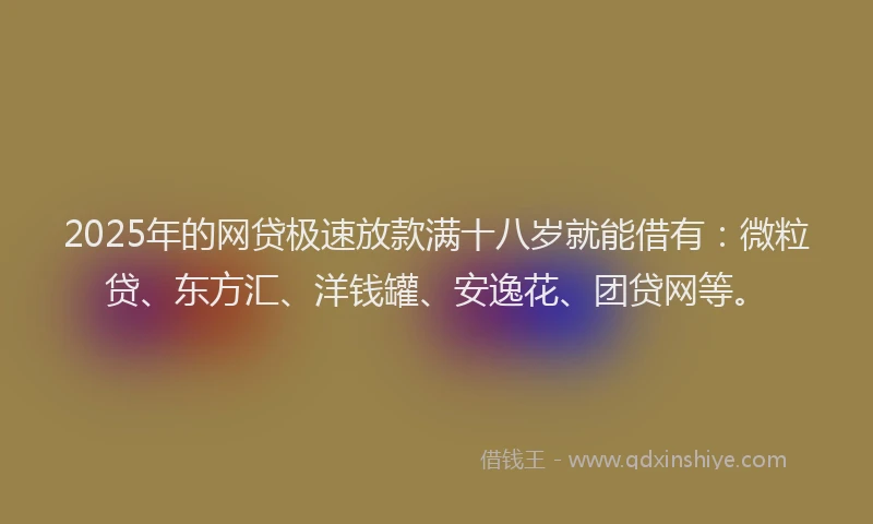 2025年的网贷极速放款满十八岁就能借有：微粒贷、东方汇、洋钱罐、安逸花、团贷网等。