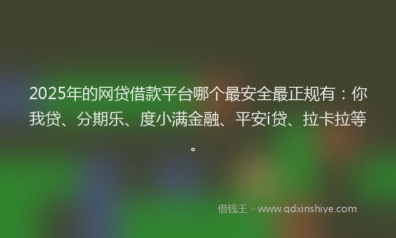 2025年的网贷借款平台哪个最安全最正规有：你我贷、分期乐、度小满金融、平安i贷、拉卡拉等。