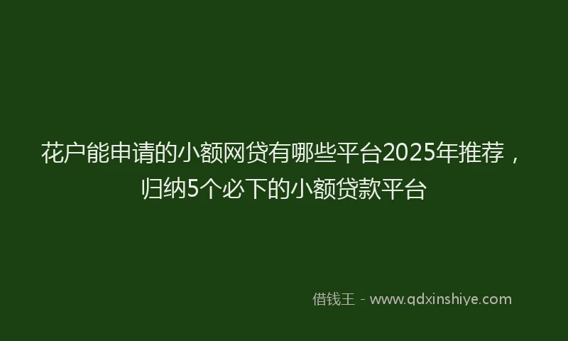 花户能申请的小额网贷有哪些平台2025年推荐，归纳5个必下的小额贷款平台