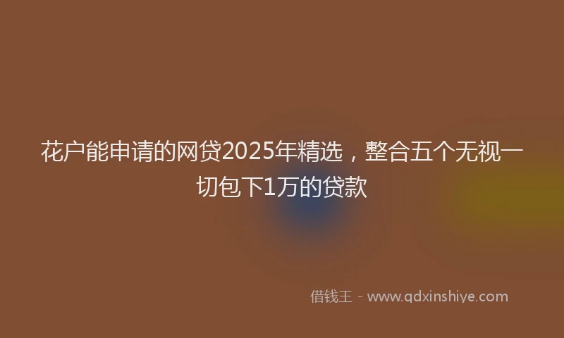 花户能申请的网贷2025年精选，整合五个无视一切包下1万的贷款