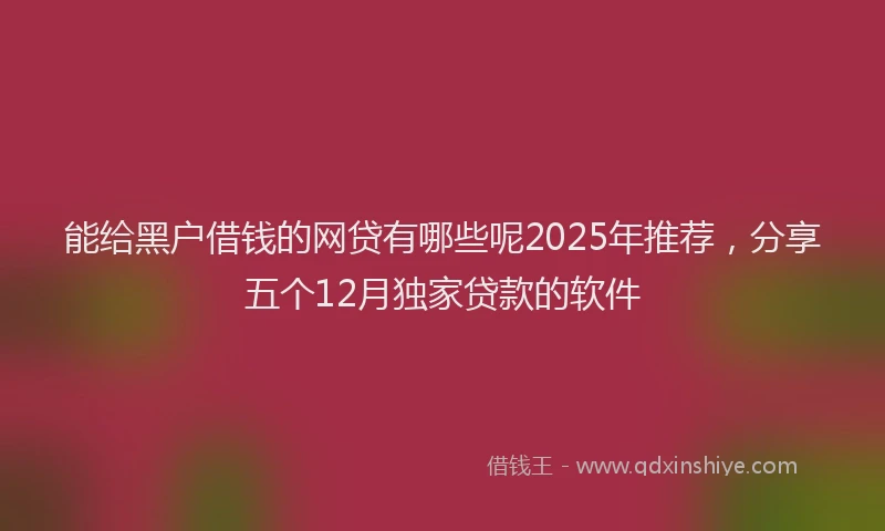 能给黑户借钱的网贷有哪些呢2025年推荐，分享五个12月独家贷款的软件