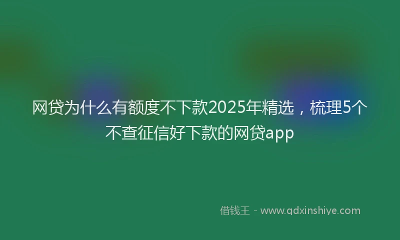 网贷为什么有额度不下款2025年精选，梳理5个不查征信好下款的网贷app