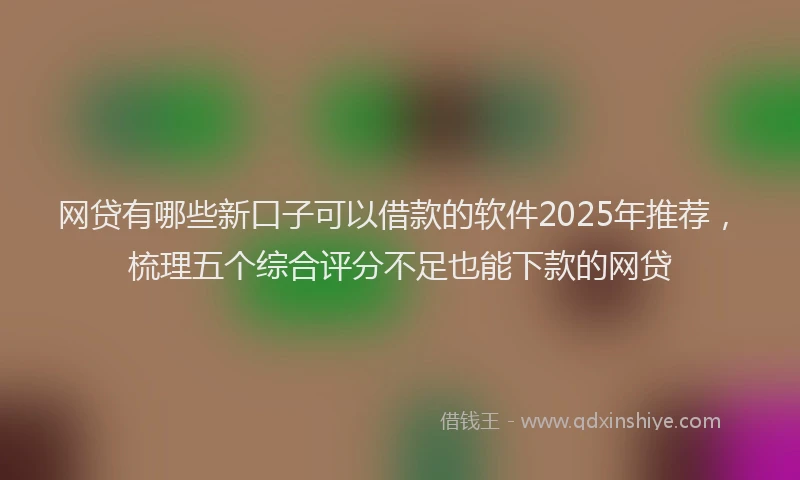 网贷有哪些新口子可以借款的软件2025年推荐，梳理五个综合评分不足也能下款的网贷