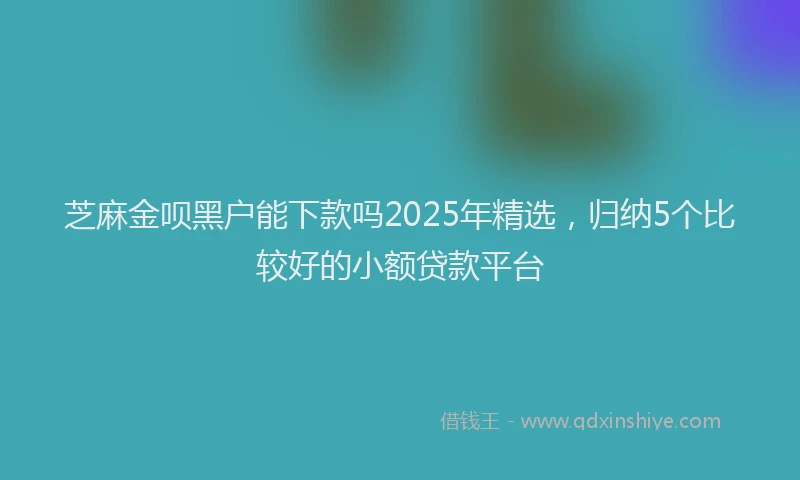 芝麻金呗黑户能下款吗2025年精选，归纳5个比较好的小额贷款平台