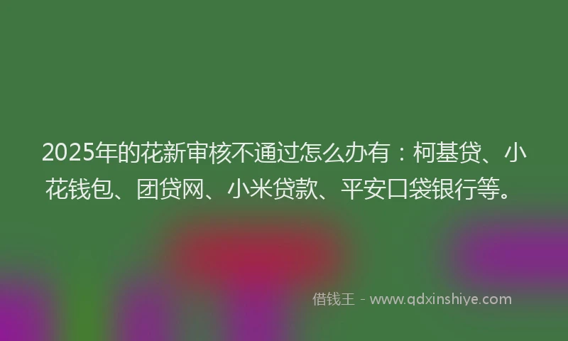 2025年的花新审核不通过怎么办有：柯基贷、小花钱包、团贷网、小米贷款、平安口袋银行等。