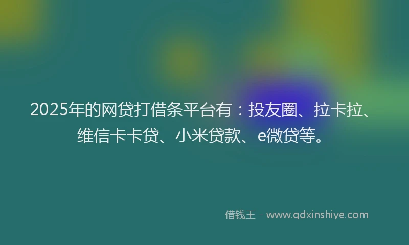 2025年的网贷打借条平台有：投友圈、拉卡拉、维信卡卡贷、小米贷款、e微贷等。