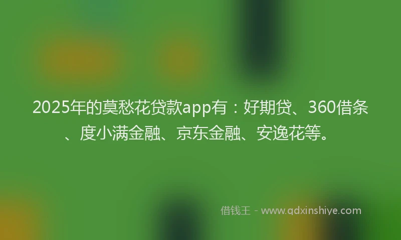2025年的莫愁花贷款app有：好期贷、360借条、度小满金融、京东金融、安逸花等。