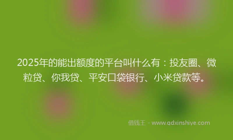2025年的能出额度的平台叫什么有：投友圈、微粒贷、你我贷、平安口袋银行、小米贷款等。