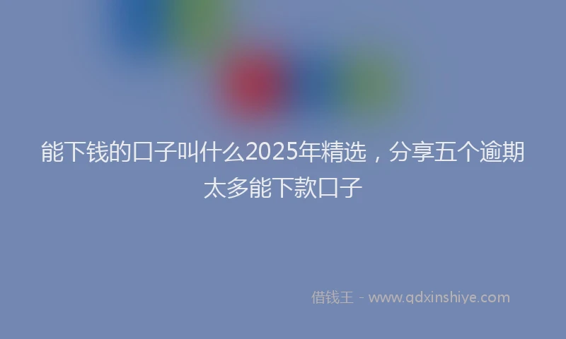 能下钱的口子叫什么2025年精选，分享五个逾期太多能下款口子