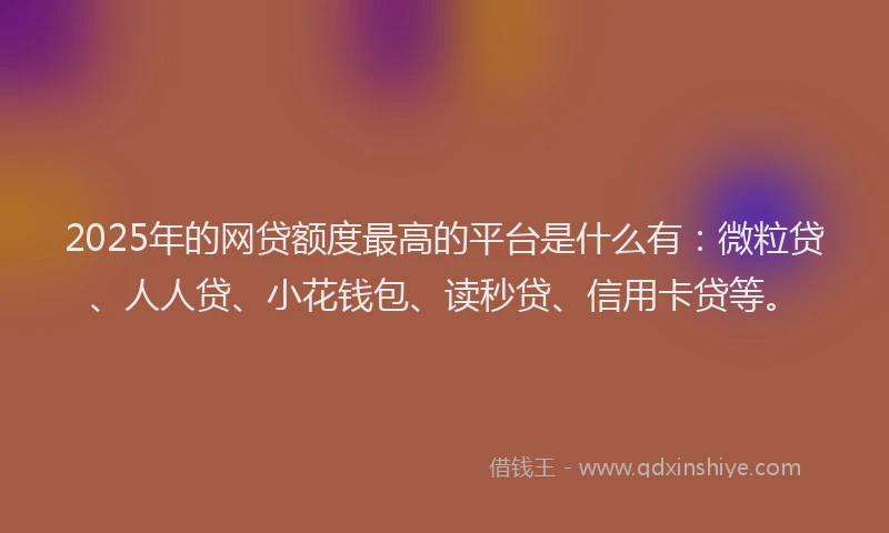 2025年的网贷额度最高的平台是什么有：微粒贷、人人贷、小花钱包、读秒贷、信用卡贷等。