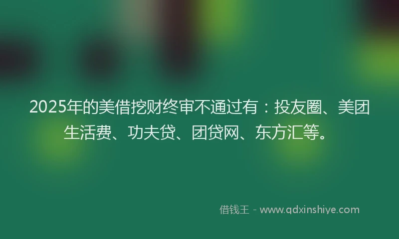 2025年的美借挖财终审不通过有：投友圈、美团生活费、功夫贷、团贷网、东方汇等。
