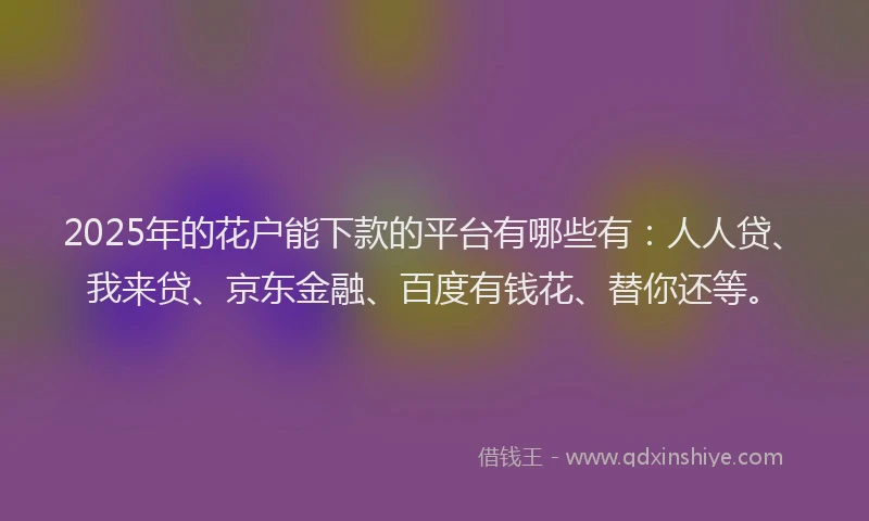 2025年的花户能下款的平台有哪些有：人人贷、我来贷、京东金融、百度有钱花、替你还等。