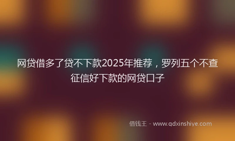网贷借多了贷不下款2025年推荐，罗列五个不查征信好下款的网贷口子