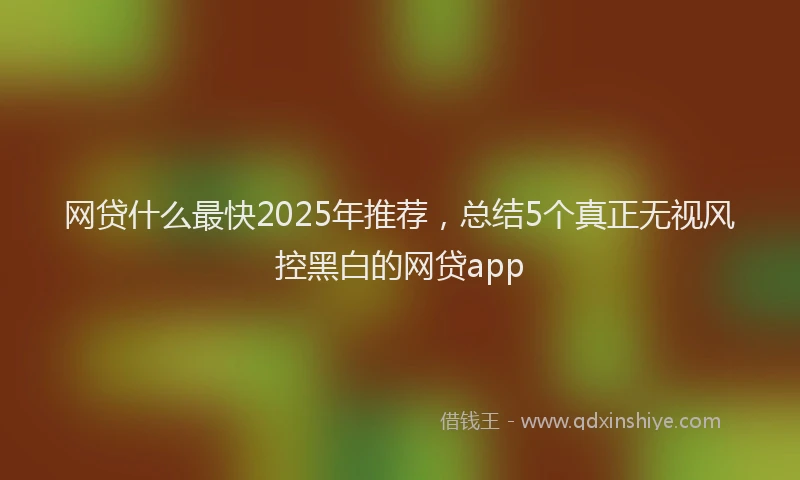 网贷什么最快2025年推荐，总结5个真正无视风控黑白的网贷app