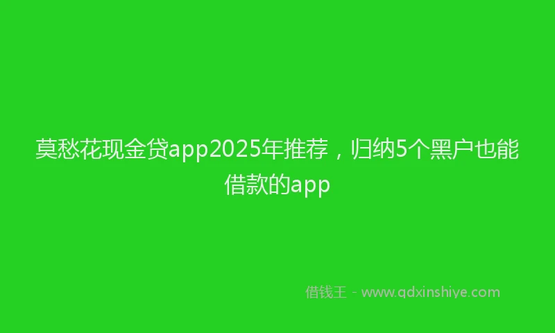 莫愁花现金贷app2025年推荐，归纳5个黑户也能借款的app