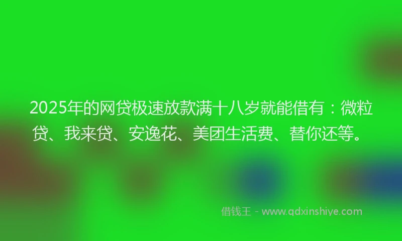 2025年的网贷极速放款满十八岁就能借有：微粒贷、我来贷、安逸花、美团生活费、替你还等。