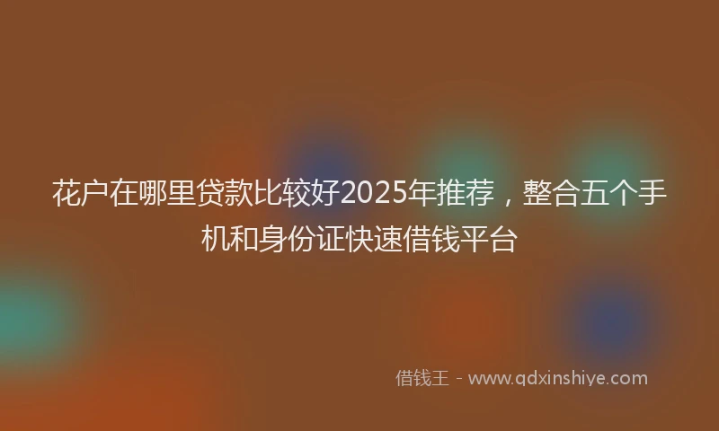 花户在哪里贷款比较好2025年推荐，整合五个手机和身份证快速借钱平台