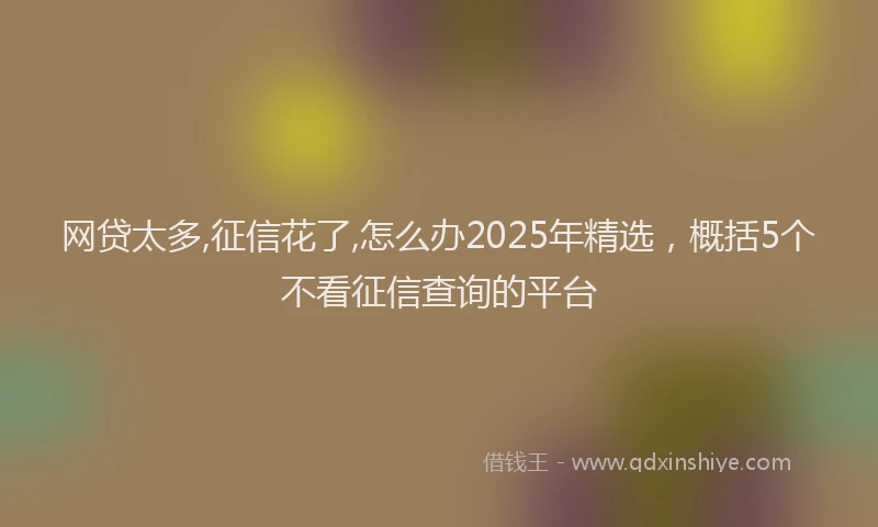 网贷太多,征信花了,怎么办2025年精选，概括5个不看征信查询的平台