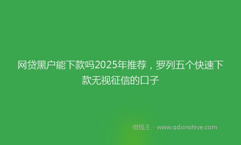 网贷黑户能下款吗2025年推荐，罗列五个快速下款无视征信的口子
