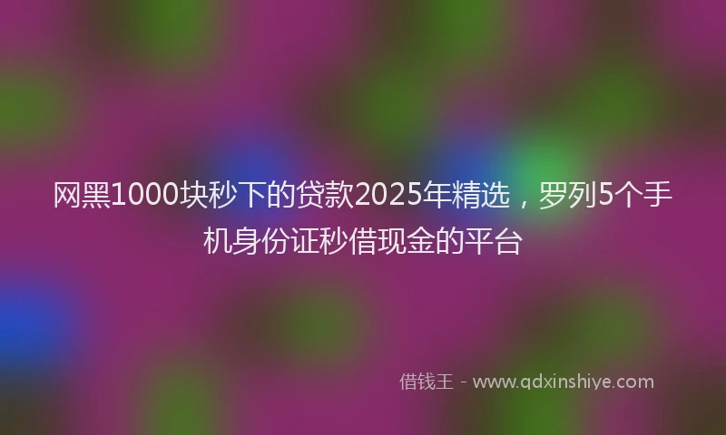网黑1000块秒下的贷款2025年精选，罗列5个手机身份证秒借现金的平台