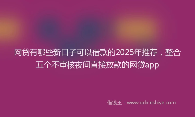 网贷有哪些新口子可以借款的2025年推荐，整合五个不审核夜间直接放款的网贷app