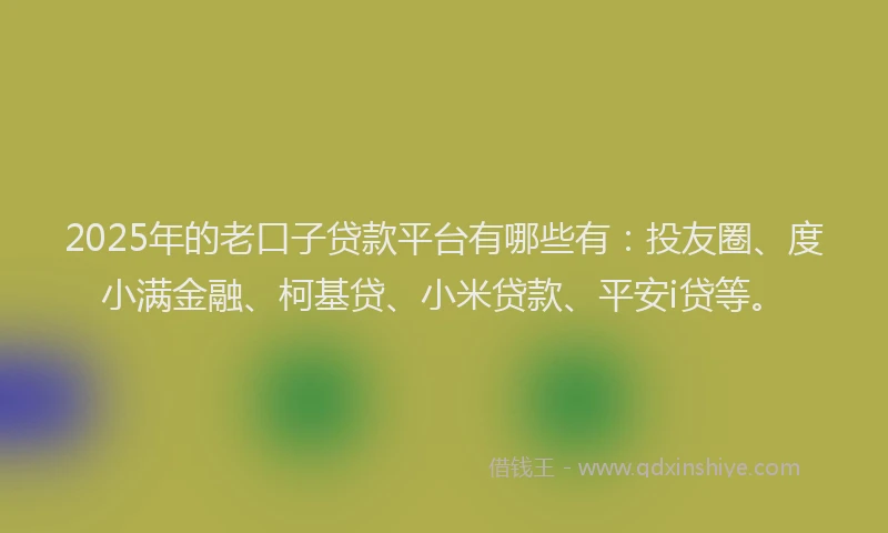 2025年的老口子贷款平台有哪些有：投友圈、度小满金融、柯基贷、小米贷款、平安i贷等。