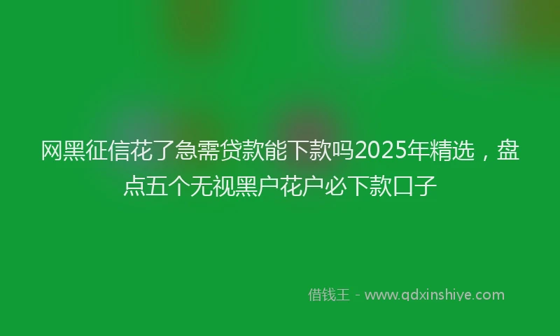 网黑征信花了急需贷款能下款吗2025年精选，盘点五个无视黑户花户必下款口子