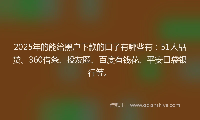 2025年的能给黑户下款的口子有哪些有：51人品贷、360借条、投友圈、百度有钱花、平安口袋银行等。