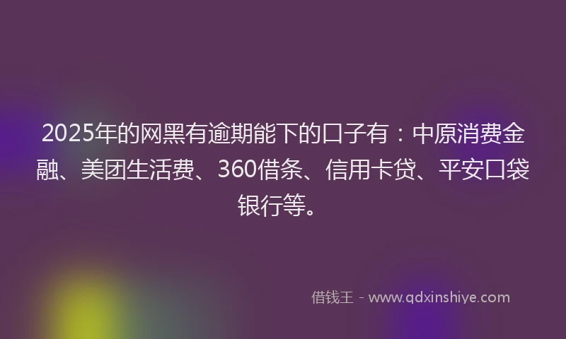2025年的网黑有逾期能下的口子有：中原消费金融、美团生活费、360借条、信用卡贷、平安口袋银行等。