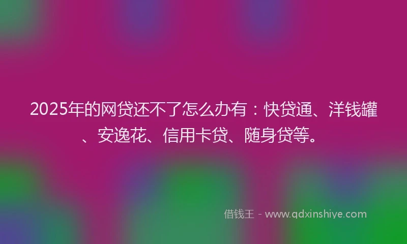 2025年的网贷还不了怎么办有：快贷通、洋钱罐、安逸花、信用卡贷、随身贷等。