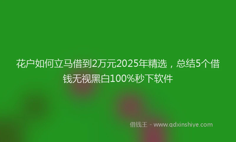 花户如何立马借到2万元2025年精选，总结5个借钱无视黑白100%秒下软件