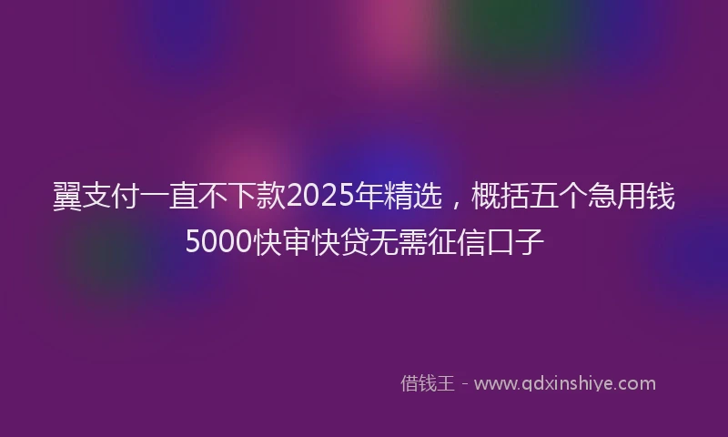 翼支付一直不下款2025年精选，概括五个急用钱5000快审快贷无需征信口子