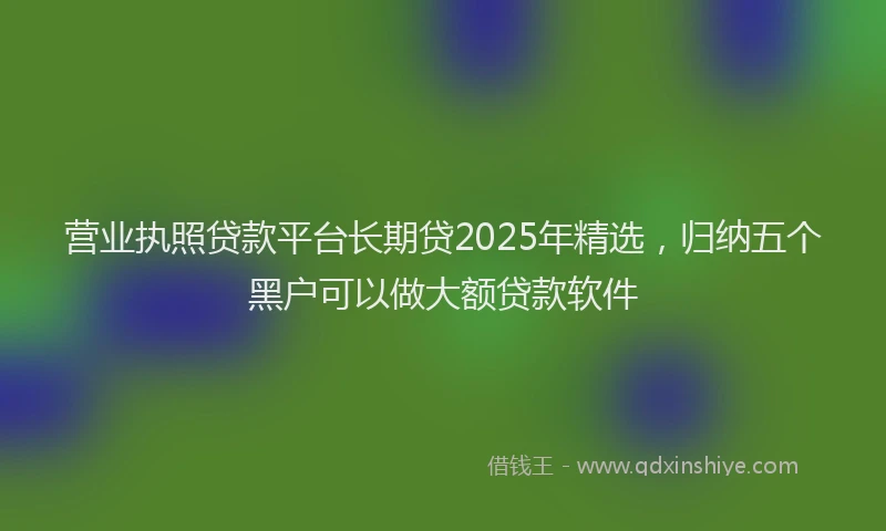 营业执照贷款平台长期贷2025年精选，归纳五个黑户可以做大额贷款软件
